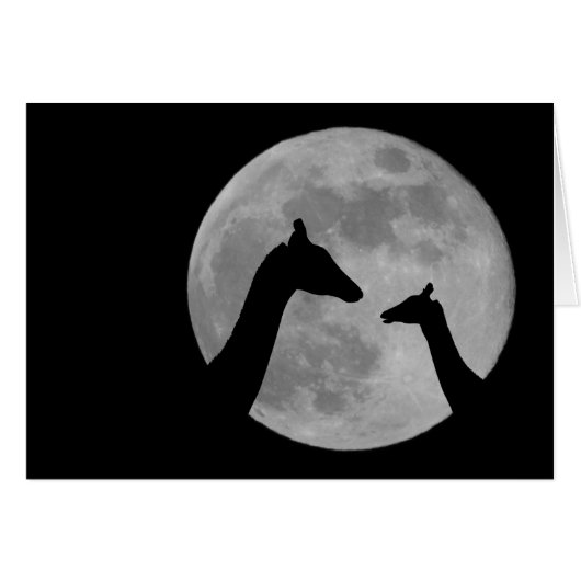Giraffes bij Fullmoon Night (Voorkant Horizontaal)