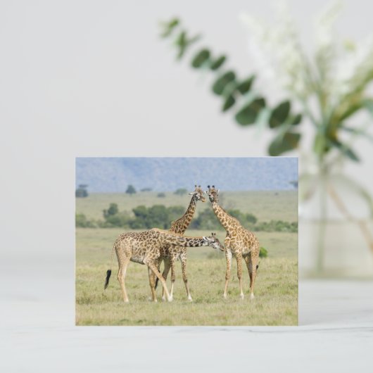 Giraffes Briefkaart (Staand voorkant)