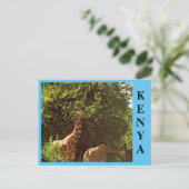 Giraffes Briefkaart (Staand voorkant)