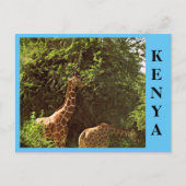 Giraffes Briefkaart (Voorkant)