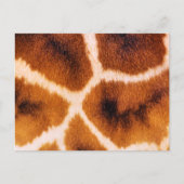 GIRAFFES BRIEFKAART (Voorkant)