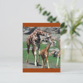 Giraffes Briefkaart (Staand voorkant)