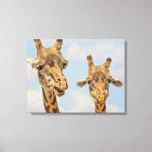 Giraffes Canvas Afdruk