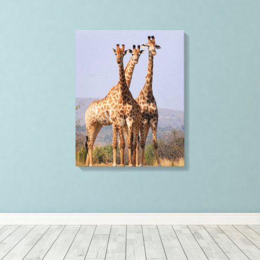 Giraffes Canvas Afdruk (Insitu (Houten vloer))