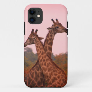 Giraffes Case-Mate iPhone Case