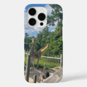 Giraffes Case-Mate iPhone case (Achterkant)