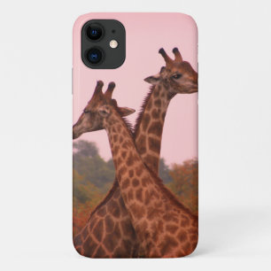 Giraffes Case-Mate iPhone Case