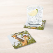 Giraffes die boven vegetatie zitten kartonnen onderzetters (Insitu)