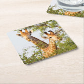 Giraffes die boven vegetatie zitten kartonnen onderzetters (Schuin)