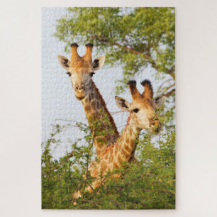 Giraffes die boven vegetatie zitten legpuzzel