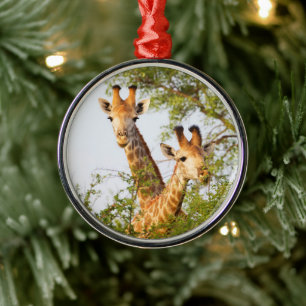 Giraffes die boven vegetatie zitten metalen ornament