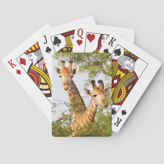 Giraffes die boven vegetatie zitten pokerkaarten (Achterkant)