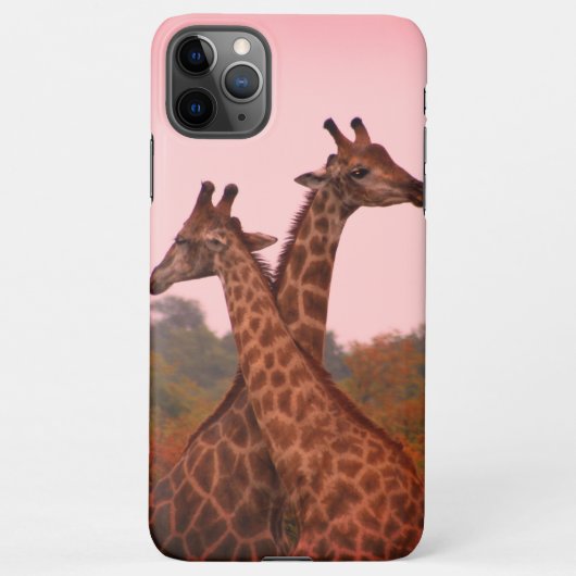 Giraffes die in Mopani bomen staan met roze lucht iPhone Hoesje (Achterkant)