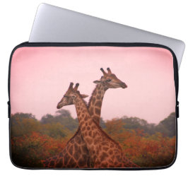 Giraffes die in Mopani bomen staan met roze lucht Laptop Sleeve