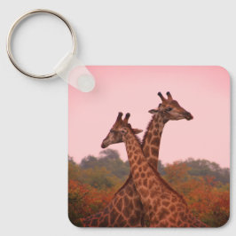 Giraffes die in Mopani bomen staan met roze lucht Sleutelhanger