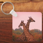 Giraffes die in Mopani bomen staan met roze lucht Sleutelhanger (Voorkant)