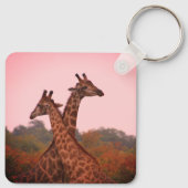 Giraffes die in Mopani bomen staan met roze lucht Sleutelhanger (Achterkant)
