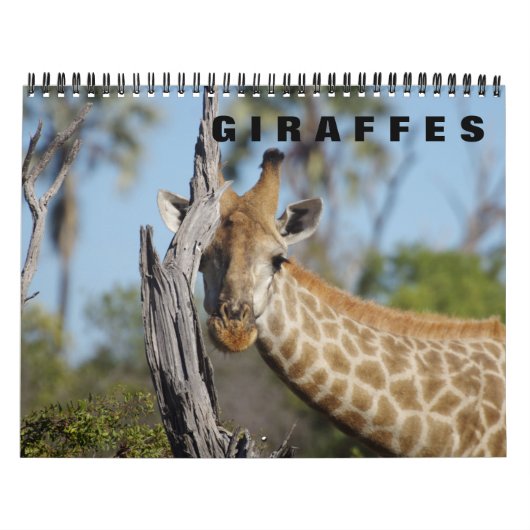 Giraffes een agenda voor 2019 kalender (Hoes)