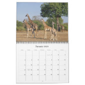 Giraffes een agenda voor 2019 kalender (Jan 2026)