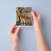 Giraffes en bomen Mok Flyer (Hand)