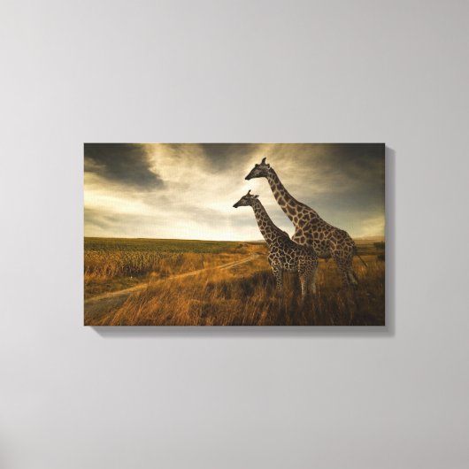 Giraffes en landschap canvas afdruk (Voorkant)