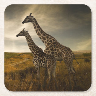 Giraffes en landschap kartonnen onderzetters