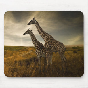 Giraffes en landschap muismat