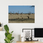 Giraffes en leeuwen poster (Thuiskantoor)