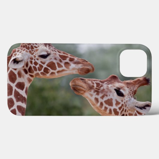 Giraffes in de Love iPad Case (Achterkant (horizontaal))