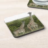 Giraffes in Kenia, Afrika 2 Onderzetter (Linkerzijde)