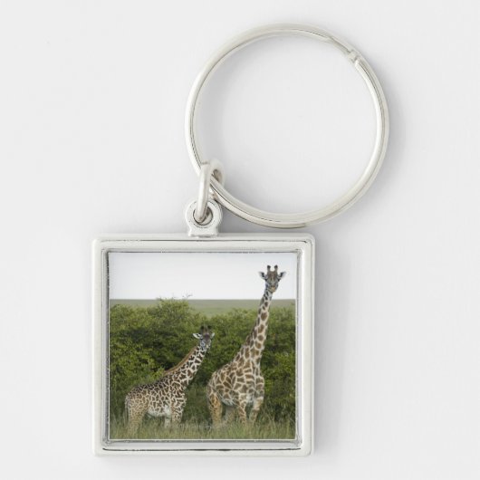 Giraffes in Kenia, Afrika 2 Sleutelhanger (Voorkant)