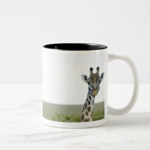 Giraffes in Kenia, Afrika 2 Tweekleurige Koffiemok