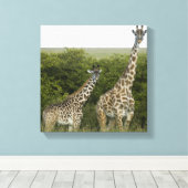 Giraffes in Kenia, Afrika Canvas Afdruk (Insitu (Houten vloer))