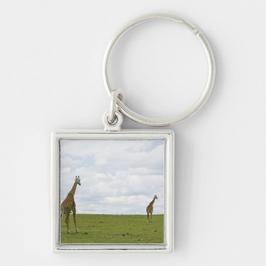 Giraffes in Kenia, Afrika Sleutelhanger (Voorkant)