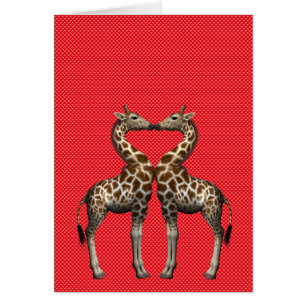 Giraffes in liefde
