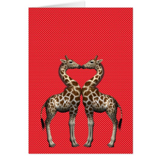 Giraffes in liefde (Voorkant)