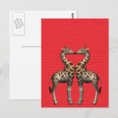 Giraffes in liefde briefkaart (Voorkant / Achterkant)