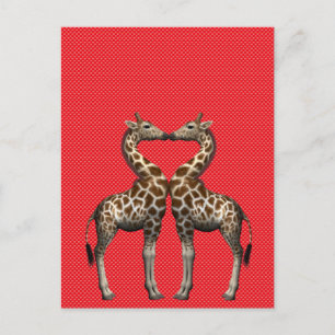 Giraffes in liefde briefkaart