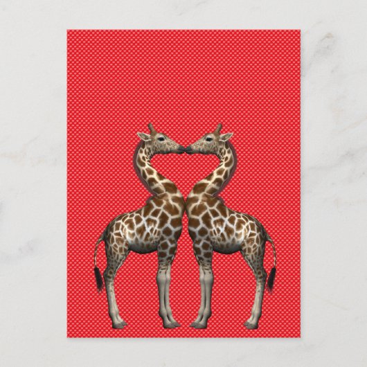 Giraffes in liefde briefkaart (Voorkant)