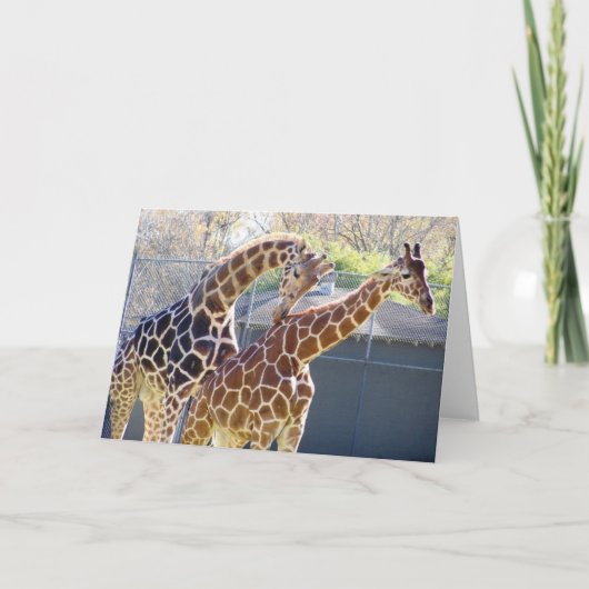 Giraffes in Liefde Kaart (Voorkant)