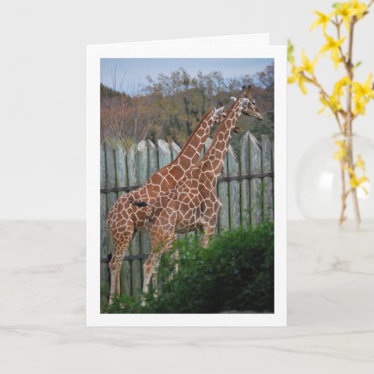 Giraffes in Park Kaart (Gele Bloem)