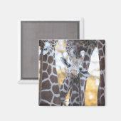 Giraffes in Tama Zoo, Tama Zoo, Tokio Magneet (Voorkant / Achterkant)