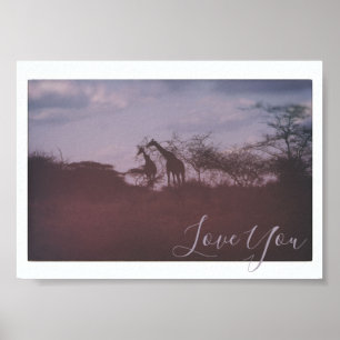 Giraffes in Wilde Habitat-liefde Poster