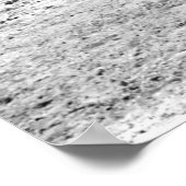 Giraffes in zwart-wit poster (Hoek)