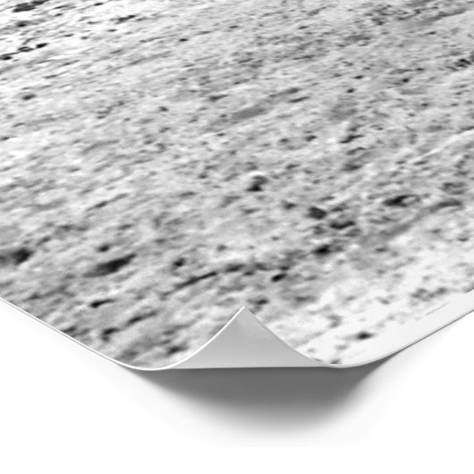 Giraffes in zwart-wit poster (Hoek)