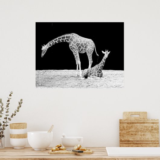 Giraffes in zwart-wit poster (Keuken)