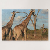 Giraffes Jigzaag Puzzle Legpuzzel (Horizontaal)