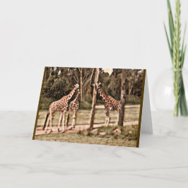 Giraffes Kaart