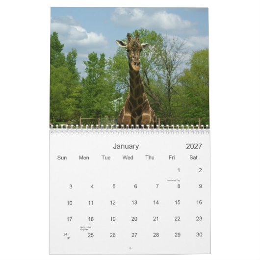 Giraffes Kalender (Jan 2027)