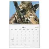 Giraffes Kalender (Mar 2027)